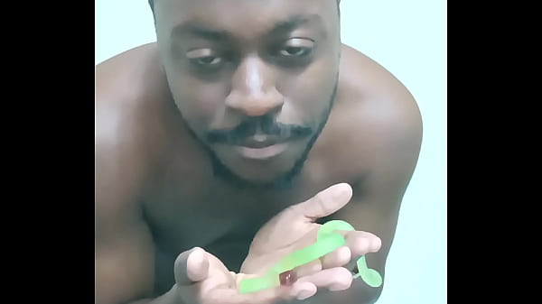 Scorpio zodiac animals that are green like a leaf 3