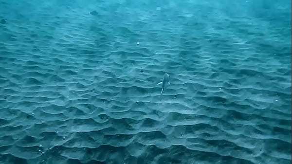 Enjoy thick chicks underwater lesbians 