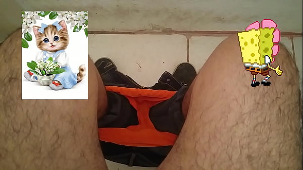Oso maduro piensa en bob esponja y gatitos mientras caga