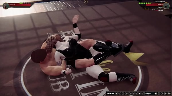 Jerle VS Luna [NF3D Mixed MMA Combat]