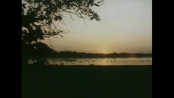 Homo Erectus - Sarah Fosterman  