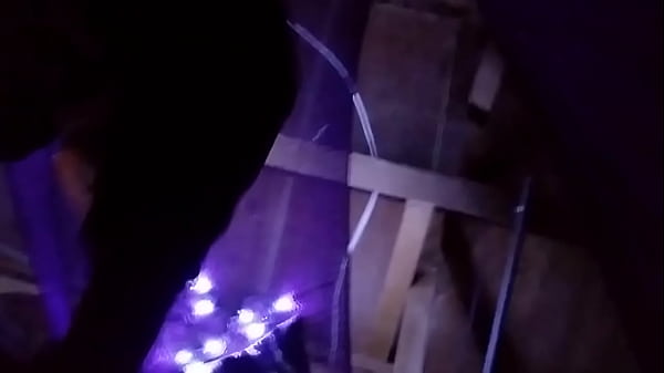 messing around with ex's coworker