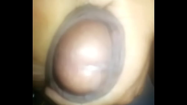 punhetinha para as cachorras