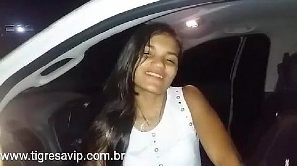 Ester tigresa senda filmada por um caminhoneiro as margem da rodovia