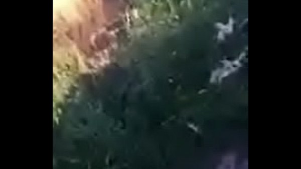 LaTroia.com, Coppia fa sesso in macchina in camporella