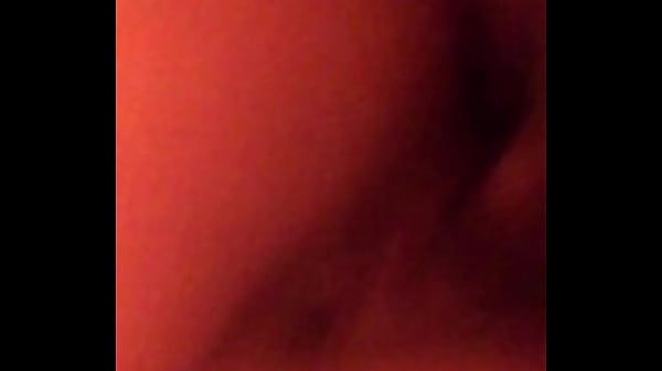 PISCO Y SUS DELICIAS