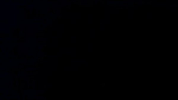 VID-20130209-00009.3GP