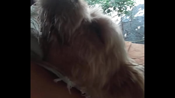 V&iacute;deo de verifica&ccedil;&atilde;o  