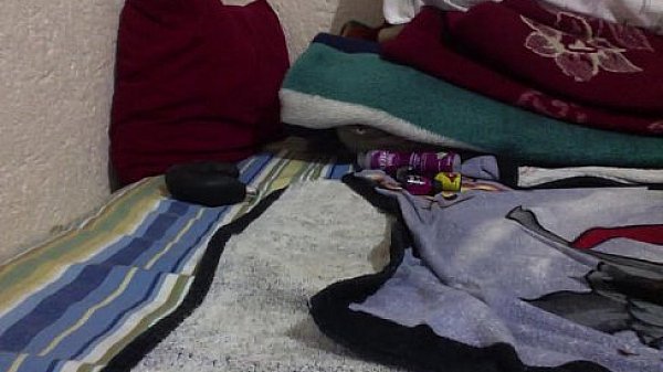 Pel&iacute;cula del d&iacute;a 26-11-14 a la(s) 23.46  