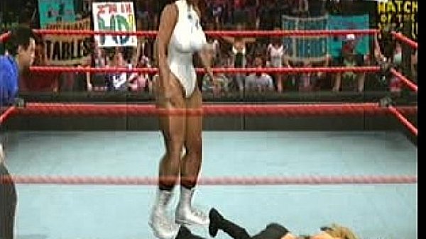 nicole vs michelle mccool