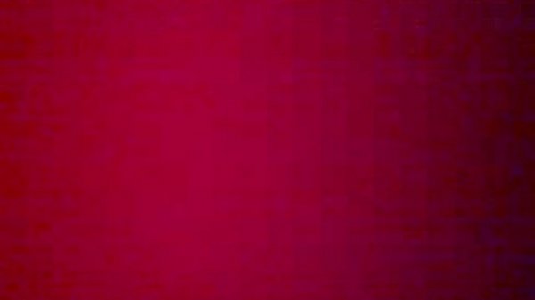 Advogada no motel RS Brasil