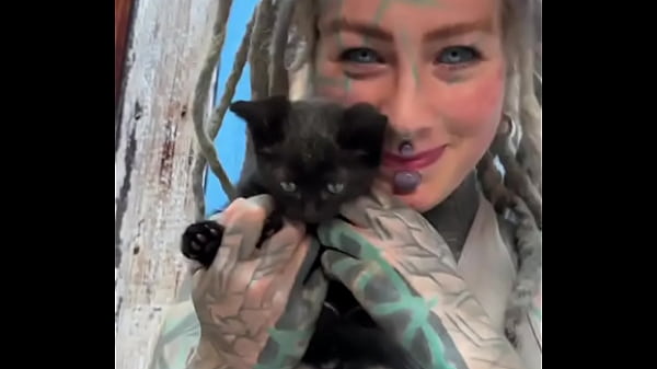 Sweet little black kitty cat ??What's your favorite thing about black cats?#BlackKittyLove #Sweet #CatVibes #Psyla... 