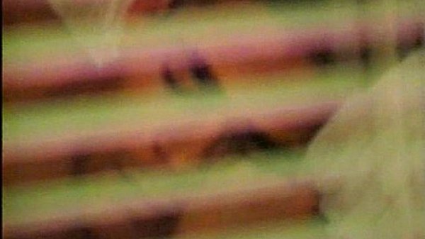 Pacific Sun - Nubian Hores 1 2 - scene 6