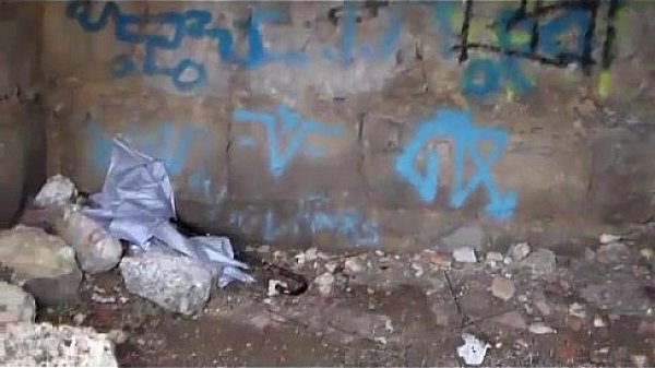 El horror de la dama folladora