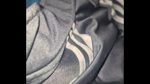 Katalina - update #121 - 1000017873 - Nov 17, 2025