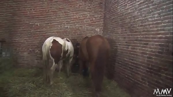 Sauerei im Schweinestall - Sie kommt aus dem Stall im Mund nen Schwall