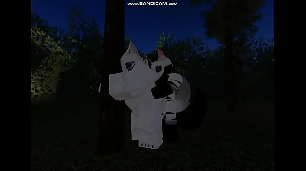 dwa futrzaki pieprzące się w lesie  