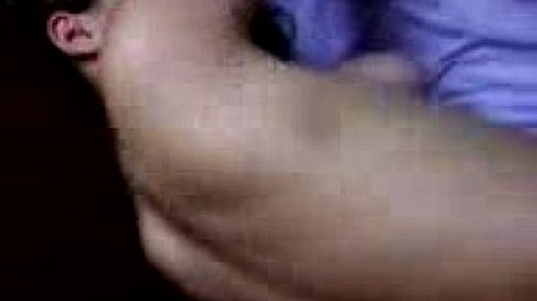 Gatinha da Dom Bosco