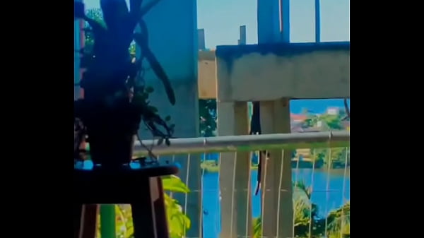 Ilhou - Update #7 (2024-05-31T12:36:15.000Z) 