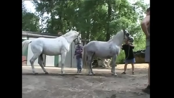 Let me introduce you all our sluts of Xtime.tv Vol. 8  