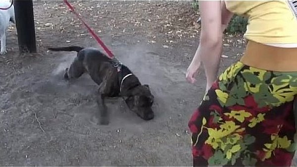 scandi teen anal threesome in public  