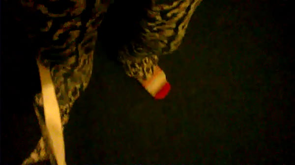 WP 20170104 04 08 21 Pro 