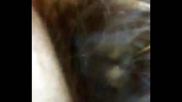 Head from a dickfeign 