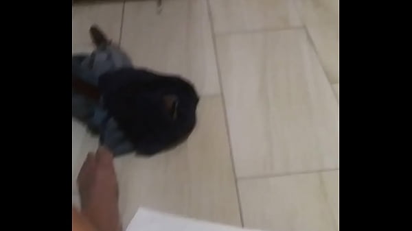 Chico erecto mexicano s&uacute;per erecto quieres conocerlo?