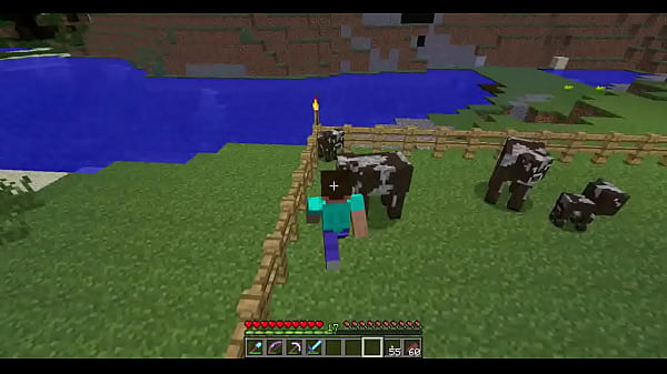 Orgia com vacas Safadas