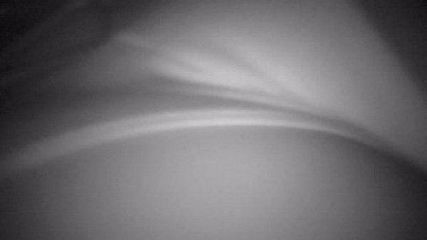 Amateur Maria Allen showing her private parts