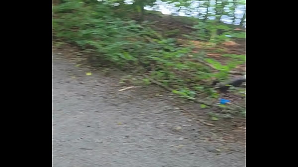 Exhib &agrave; Stuttgart  