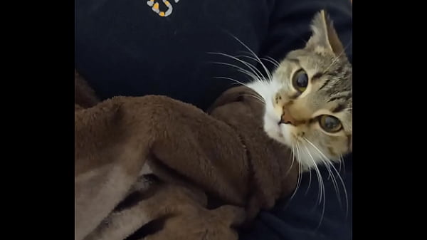 Fallando mi mujer rico y le encanta demasiado a la perro  