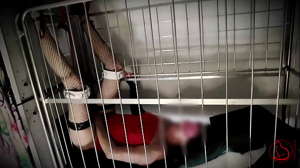 Slut captured for mating session at breeding farm. Strangers inseminate her once a year (breeding next gen species) - 60 FPS