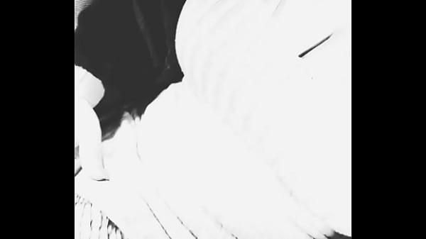 Kelly pantera - update #18 - Feb 01, 2025