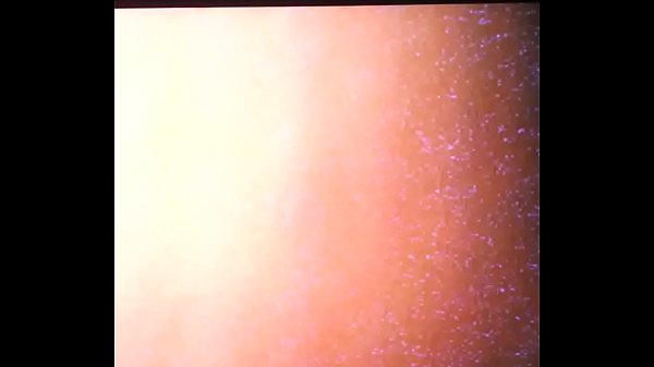 papalove279@gmail.com