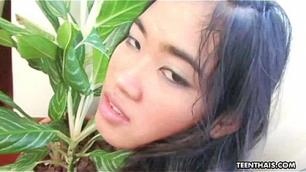 Supreme Thai babe getting fucked from the back doggystyle