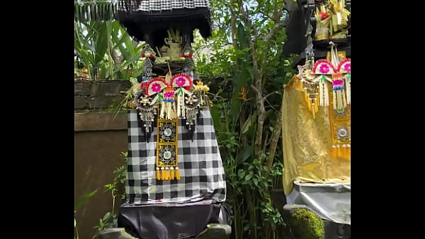 Welcome to Bali - Update #257 (2025-02-13T05:00:15.000Z)