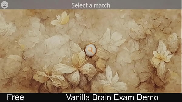 Vanilla Brain Exam ( Steam demo Game) match 3 Adult Casual Erotic Romance