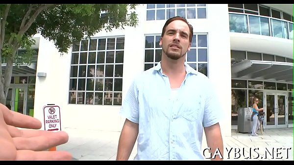 Homosexual porn wazoo  