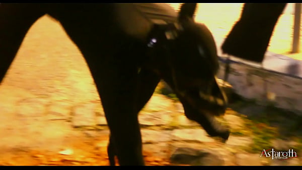 Dom lides to petplay with his submissive slave. P1