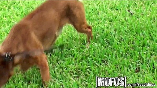 Mofos - Kaylee Quinn and her big tits get pounded  