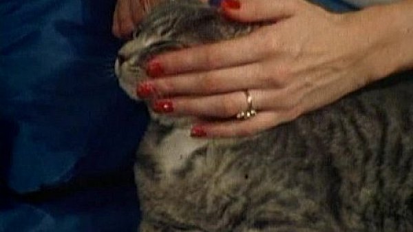 LBO - Showgirl Superstars 05 - scene 2