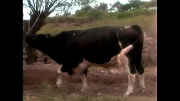 Rancheros Calientes 2