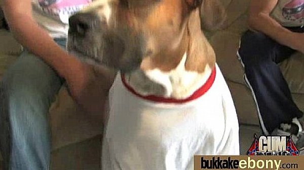 Huge cocks cover their black face in cum