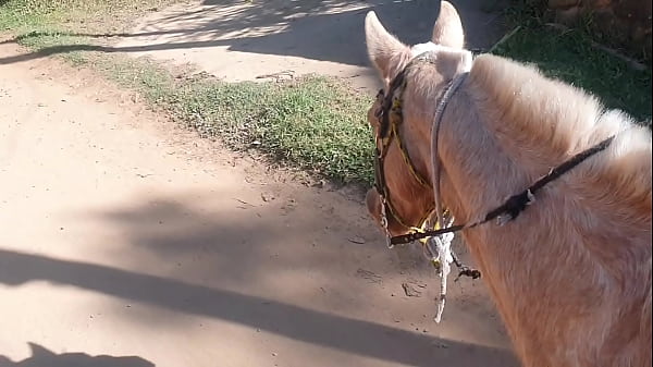 Cavalguei tanto que me exitei tive que descontar com o cavalo