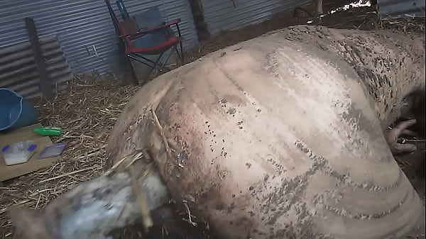 getting dirty outdoors 