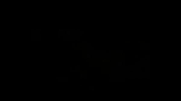 58505D5B-A12F-47D6-BBFA-10B7730620B9.MOV