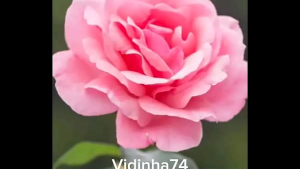 &Aacute;udio vidinha muito safada querendo pica