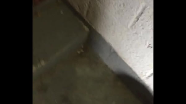 Tall dread fucked in projects staircase