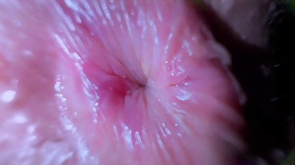 WTF MY DOCTOR determines MY body temperature by inserting his tongue into my butthole